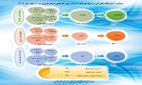 گزارش عملکرد ده ماهه آموزشگاه های آزاد و مراکز جوارکارگاهی اداره کل آموزش فنی و حرفه ای استان قزوین